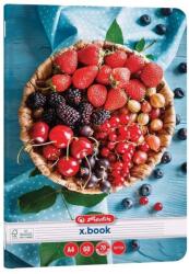 Herlitz Caiet A4, 60 file, Herlitz Healthy Snack, hartie 70 g/mp, FSC (9497580)