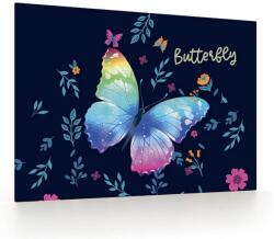 KOH-I-NOOR Mapa birou 40x60cm Buterfly, Koh-I-Noor (KPP5-88723)