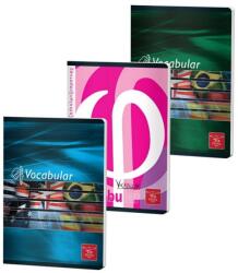 Pigna Vocabular 24 file Pigna, 60 g/mp (CC-VOC2400)