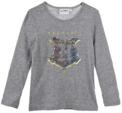 Kids movie heroes Блуза harry potter (hu1250-grey)