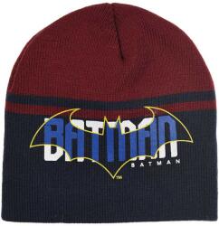 Kids movie heroes Шапка batman (hw4053-navy)