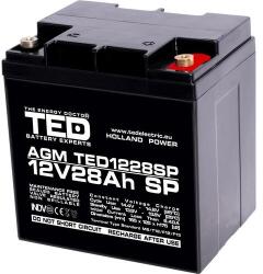 Ted electric Оловна батерия AGM 12V / 26 Ah/28, 5Ah - 166 / 176 / 125mm терминал F13(M5) TED ELECTRIC (TED-12V-26AH) - megamag