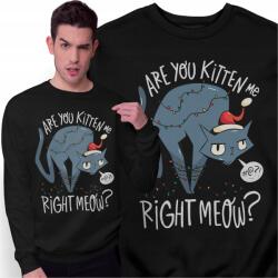 Freshtop Karácsonyi pulóver Ajándék Karácsonyra Are You Kidding Me Cica