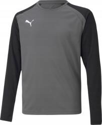 PUMA Gyerek Kapus Pulóver Puma Teampacer Gk Ls Jersey Szürke 7 r 140cm (4063699284669)