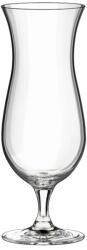 Rona Pahar din cristal Hurricane, 465 ml (60503300) Pahar