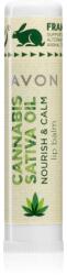 Avon Cannabis Sativa Oil Nourish & Calm ajakbalzsam kender olajjal 4, 5 g