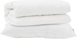 vidaXL Takaró szett párnával 2 pcs Fehér Mikroszálas 3376832 (3376832)