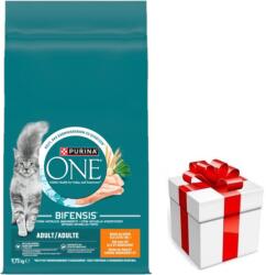 ONE Purina One Adult Chicken & Wheat felnőtt macskáknak szánt eledel 9, 75 kg + meglepetés a kutyának