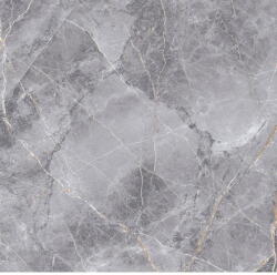 Mexen Eternity Gres gri glazurat rect. G1, placă de podea-perete 60 x 60 cm, lucios - TL112-060-060-01 (TL112-060-060-01)