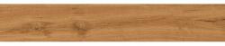 Mexen Lichi Placă de gresie porțelanată rectificată Pine G1, imitație de lemn, pentru pardoseli și pereți, 120 x 20 cm, (TL606-120-020-03)