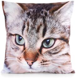 Takoy Velúr díszpárnahuzat ANIMAL cuki cicás mintával