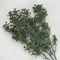  Buxus csokor sötétzöld