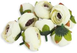  Begónia virágfej krém 3, 5cm 10db/csom - kosarbolt