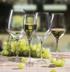 Rona Štartovacia súprava pohárov na víno Kedvenc készlet (18 ks) (5566)