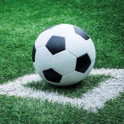 Ambiente Football papírszalvéta 33x33cm, 20db-os