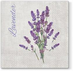 PAW Lavender for You papírszalvéta 33x33cm, 20db-os