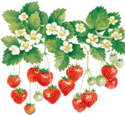 Ambiente Summer Fruits papírszalvéta 33x33cm, 20db-os