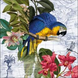 Ambiente Ara papírszalvéta 33x33cm, 20db-os