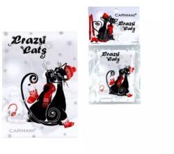 Hanipol Hűtőmágnes - mikulásruhás fekete macskás