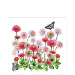 Ambiente Bellis papírszalvéta 25x25cm, 20db-os