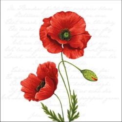 Ambiente Proud Poppy papírszalvéta 33x33cm, 20db-os