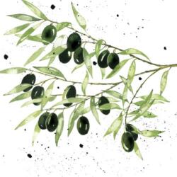 PPD Olives papírszalvéta 33x33cm, 20db-os