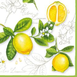 Ambiente Citrus Limonum papírszalvéta 33x33cm, 20db-os