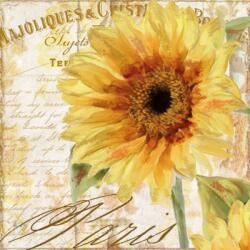 Ambiente Tournesol papírszalvéta 33x33cm, 20db-os