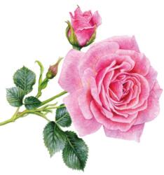 PPD Rosedal papírszalvéta 33x33cm, 20db-os