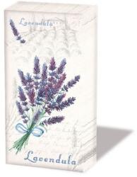 Ambiente Lavendula papírzsebkendő 10db-os