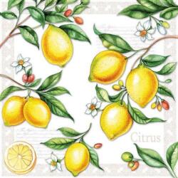 Ambiente Citrus papírszalvéta 33x33cm, 20db-os