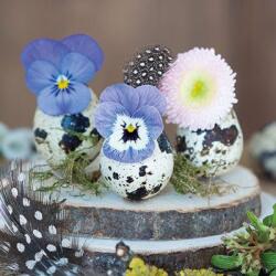 Ambiente Flower In Eggs papírszalvéta 33x33cm, 20db-os