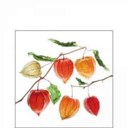 Ambiente Lampion flower papírszalvéta 25x25cm, 20db-os