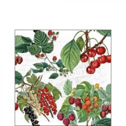 Ambiente Fresh Fruits papírszalvéta 25x25cm, 20db-os
