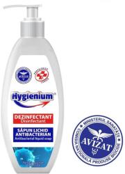 Hygienium Sapun lichid dezinfectant Hygienium 300ml (avizat Ministerul Sanatatii) (HYG60300)