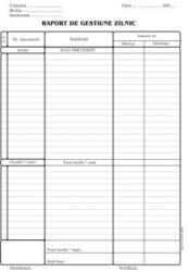 Raport de gestiune zilnic (TIP128)