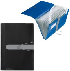 Centrum Mapa din plastic cu elastic cu 12 compartimente, Herlitz (11208394)
