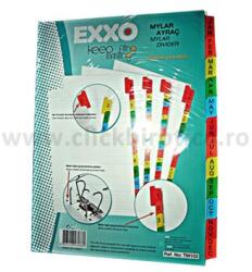 Exxo Separator index carton alb lunar Ianuarie-Decembrie, Exxo (TM200)