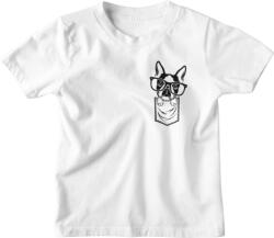  Zsebmintás Boston Terrier - Gyerek Póló (996737)
