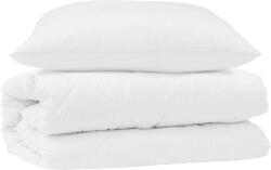 vidaXL Takaró szett párnával 2 pcs Fehér Mikroszálas 3376767 (3376767)