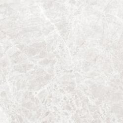 Mexen Lizard Ezüst mázas gres rekt. G1, padló- és falburkoló lap 60 x 60 cm, fényes - TL109-060-060-03 (TL109-060-060-03)