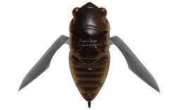 Megabass Gran Siglett 4, 25cm 7gr FF Phantom Bogár Wobbler (MB258473)