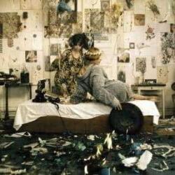 Various Daisies - facethemusic - 8 690 Ft