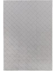 Delta Carpet Covor Antiderapant, 120 x 160 cm, Gri, Model Blanita Lop Grofat 076 (LOP-GROFAT-076-1216) Covor