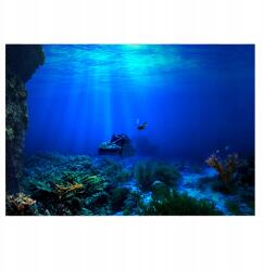  Öntapadós poszter a háttérben Seaworld gkw dekorációhoz (CW01098-02)