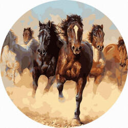 iPicasso Set pictura pe numere rotunda, cu sasiu, Galop, O40cm (RC4040013)