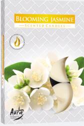 AURA - Jázmin Illatú Teamécses - 6 db (54052)