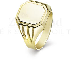  14 karátos arany férfi pecsétgyűrű - PG-013 (AU14117) AU14117