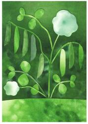 The Poster Club Постер 50x70 cm Peas in Bloom - Anna Ravn Bjørn - The Poster Club (17310-7)