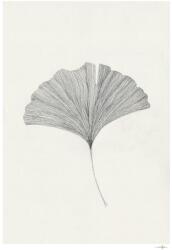 The Poster Club Постер 50x70 cm Ginkgo Leaf - Ana Frois - The Poster Club (10428-7)